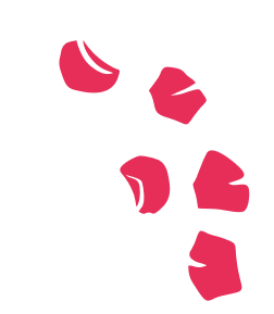 Rose petals